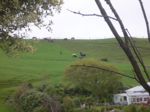 Māori owned farmlands just outside Whanganui, which includes papakāianga housing and a Marae.