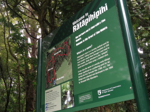 Ratapihipihi Reserve, New Plymouth, being an ancient MÄori fortification known especially for its cultivations