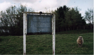 Sign providing history of Te Wheroro's Pā, where it is standing, above Rangiriri.