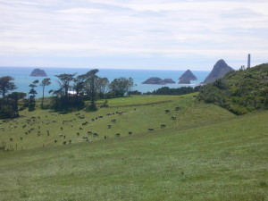 Lands between New Plymouth and Oakura confiscated in 1865.