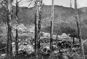 The village of Maungapohatu, deep in the Urewera Forest. Source: NZHistory.net.co.nz