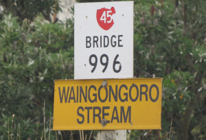 The Waingongoro Stream, just north-west of Hawera. Surveyors were permitted to cross the river in 1879. Protests from Parihaka soon followed.