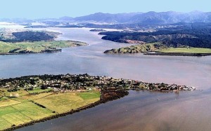 The Hokianga Harbour with Rawene (bottom of picture) 