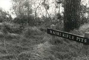 Rifle Pits on Te Arei Pā, Waitara.