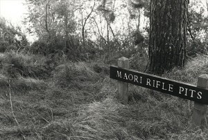 Te Arei Pā site, Upper Waitara Road, Waitara.