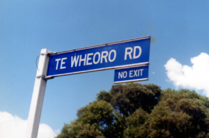 Te Wheoro Road, Rangiriri. Wiremu Te Wheoro was a noted Kingitanga rangatira during the 1870s-1880s.