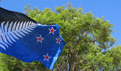 A NEW MĀORI PARLIAMENT: Can Te Pati Māori set one up?