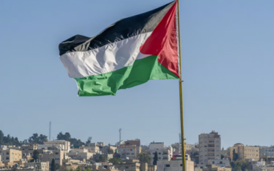 THE INDIGENEITY PROJECT AND PALESTINE