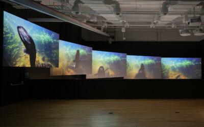 ‘WHIRIA KO TE IWI TUNA’ LIVING ART EXHIBITION, NEW PLYMOUTH, Feb-July 2026.
